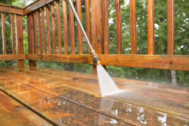 Best Solar Panel Cleaning  in Chester, IL